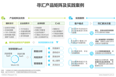 2022年中國跨境電商SaaS行業(yè)風險管理咨詢研究報告